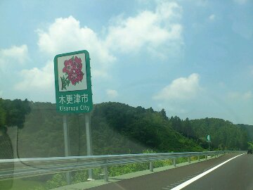 DSC_1334.JPG image